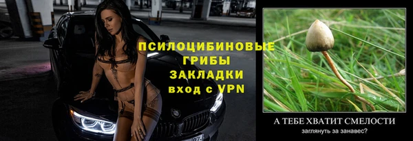 альфа пвп Краснослободск