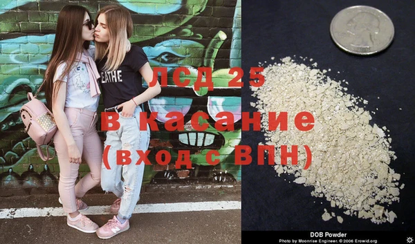 дживик Абинск