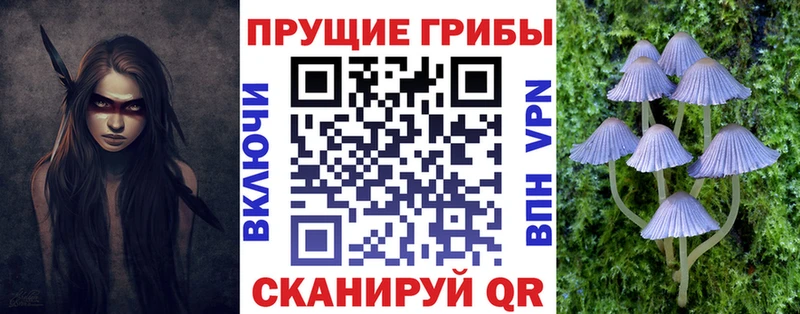 купить закладку  Усть-Лабинск  Галлюциногенные грибы Psilocybe 
